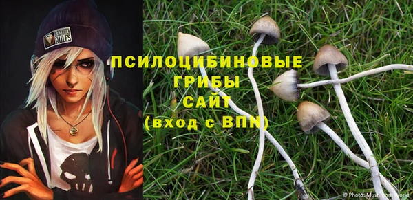 ПСИЛОЦИБИНОВЫЕ ГРИБЫ Богородицк