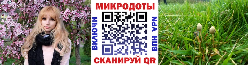 Галлюциногенные грибы прущие грибы  Мариинский Посад 